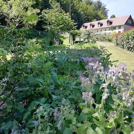 La Climontaine Bed & Breakfast Urbeis Bagian luar foto
