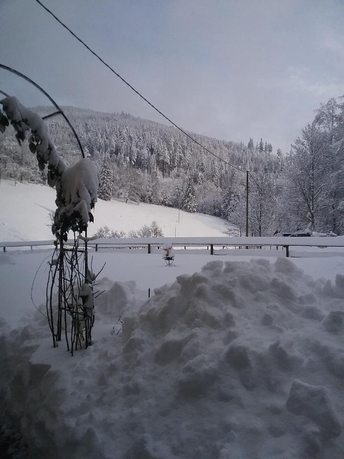 La Climontaine Bed & Breakfast Urbeis Bagian luar foto