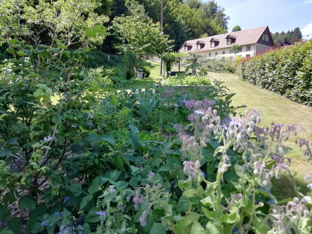 La Climontaine Bed & Breakfast Urbeis Bagian luar foto